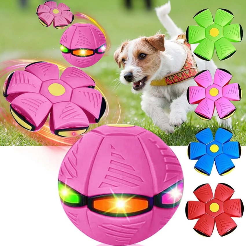 Hundespielzeug - Fliegender Ball - Pink - Pawmoment