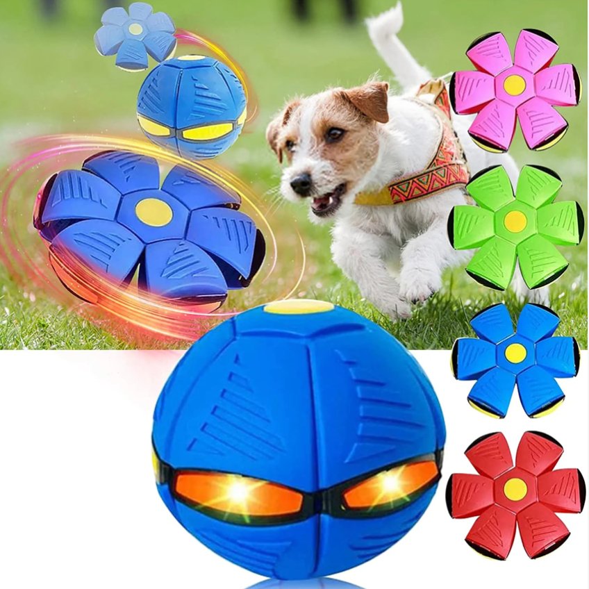 Hundespielzeug - Fliegender Ball - Blau - Pawmoment