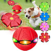 Hundespielzeug - Fliegender Ball - Rot - Pawmoment