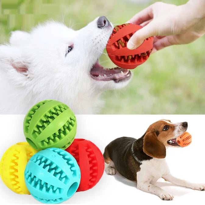 Hundespielzeug Gummiball - Pawmoment