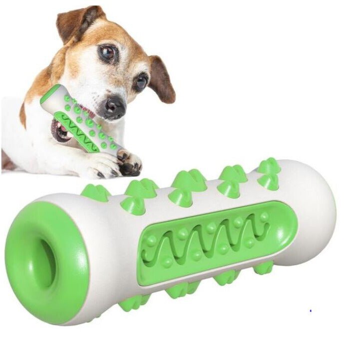 Hundezähne reinigendes Spielzeug - Grün - Pawmoment