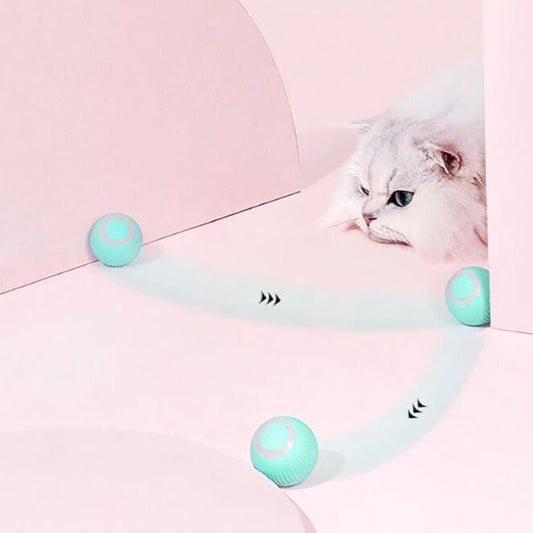 Katzenspielzeug interaktiv Ball - Pawmoment