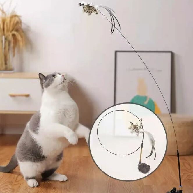 Katzenspielzeug interaktiv "Vogel" - Pawmoment