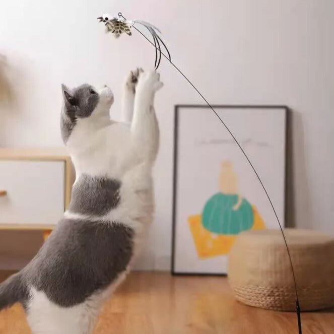 Katzenspielzeug interaktiv "Vogel" - Pawmoment